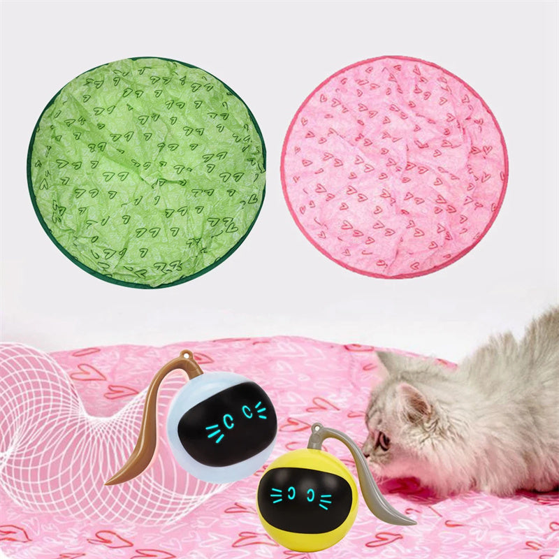 Electric Pet Toy